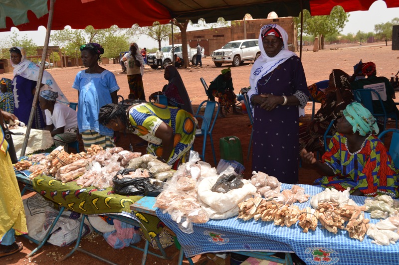 La médecine traditionnelle au Burkina Faso