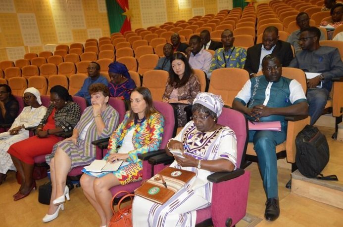 Le gouvernement Burkinabè et le système des Nations Unies 