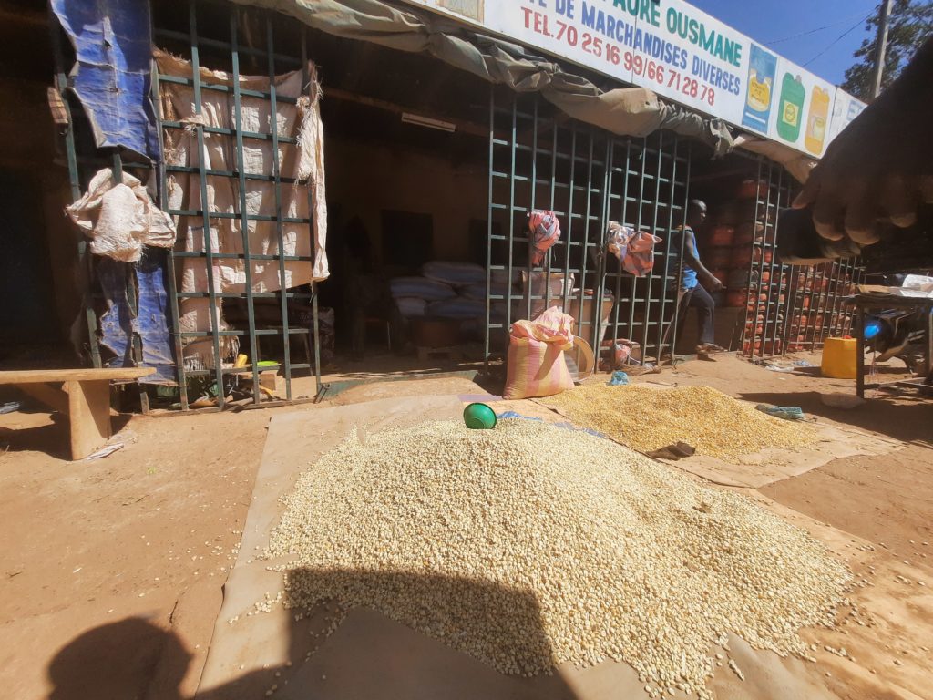 Campagne agricole 2021 au Burkina Faso : L'appel au secours des ...