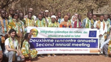 Rencontre annuelle du projet Sustain Sahel
