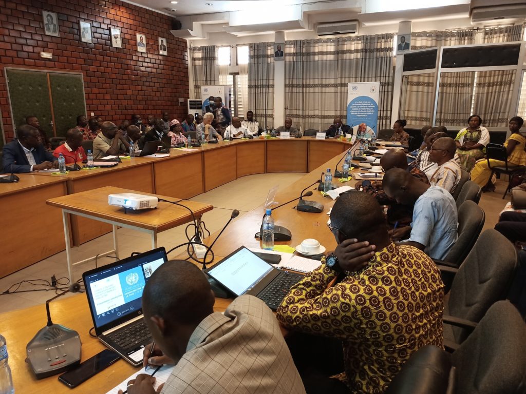 Les participants à la session ordinaire 2023 du Comité Conjoint d’Orientation (CCO) des projets de consolidation de la paix aux Burkina Faso
