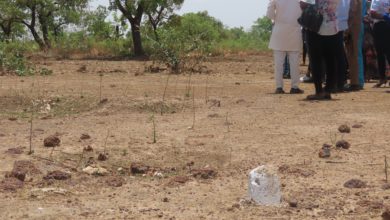 Une parcelle de 300 M2 revient à Tanga Kologo