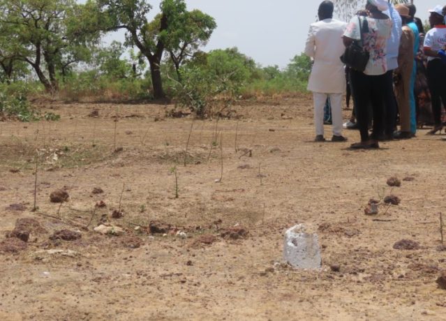 Une parcelle de 300 M2 revient à Tanga Kologo