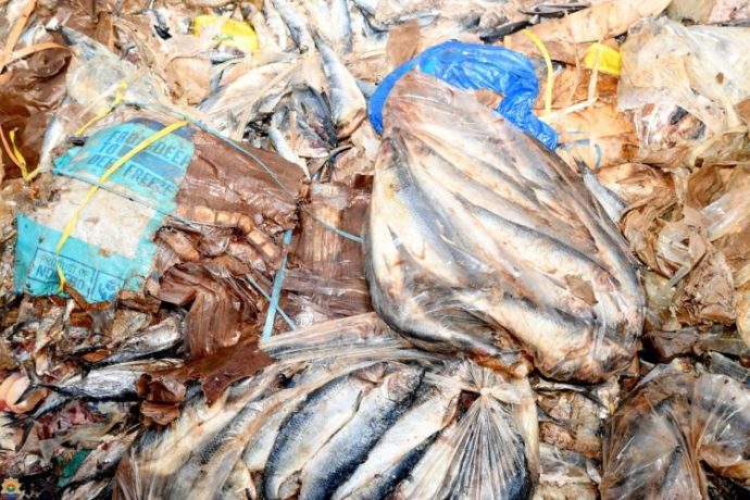 Quatre cents (400) kilogrammes de poisson et de viande avariés