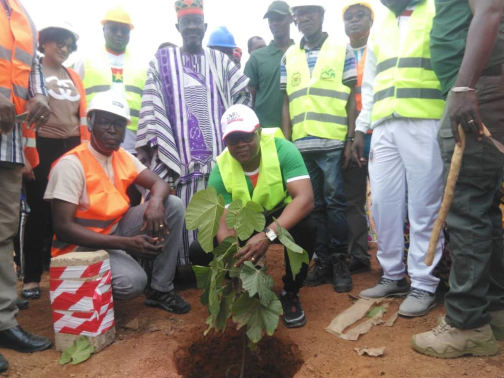 La plantation des arbres 