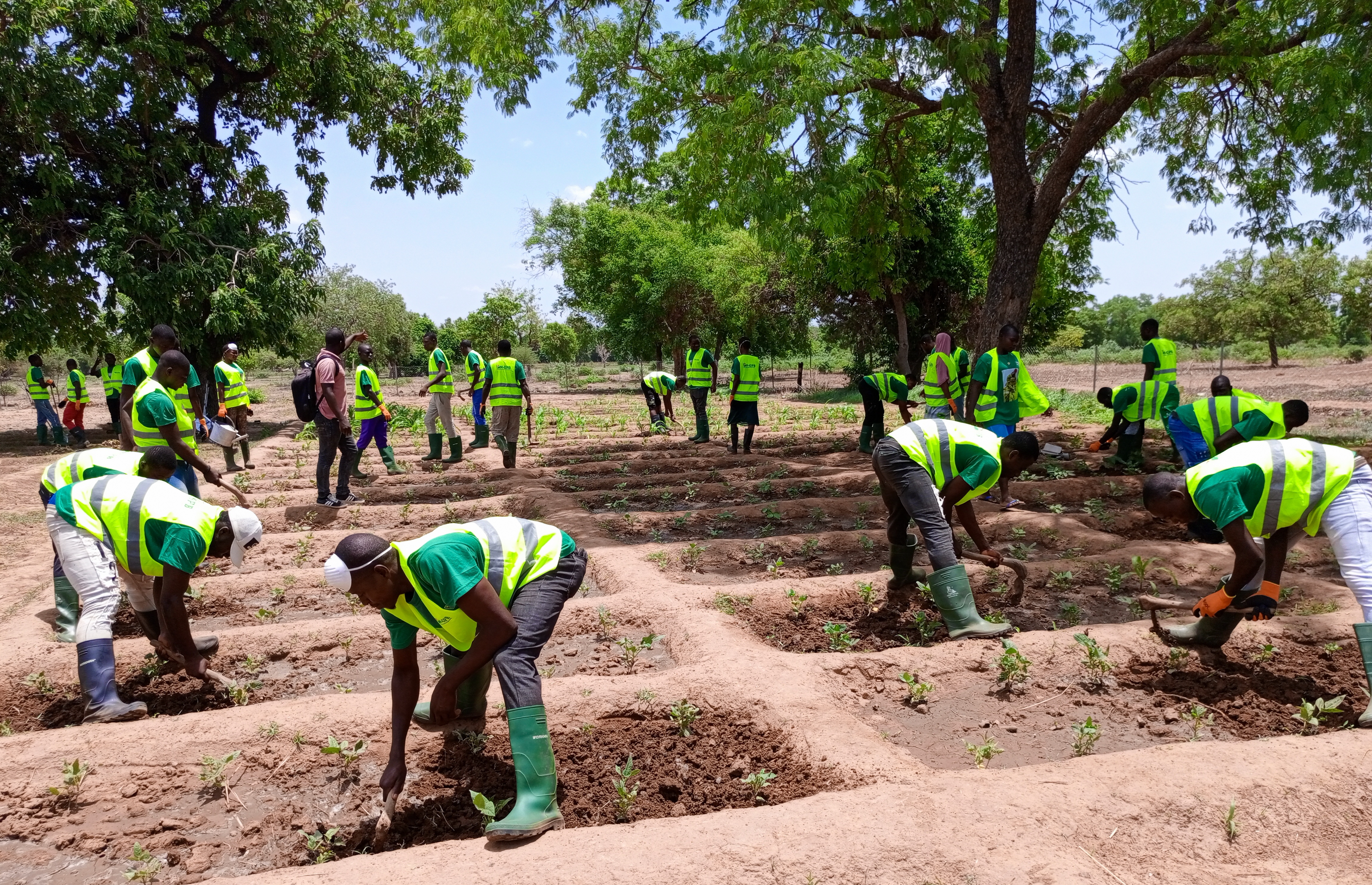 Des apprenants en plein travaux pratiques 
