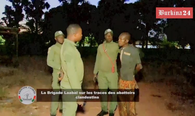 La DGSV et la Brigade Laabal traquent les abattages clandestins pour protéger la santé publique