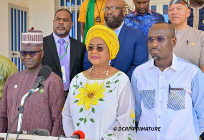 présidente de l’Institut de développement de la diaspora africaine (ADDI), Dr Arikana Chihombori