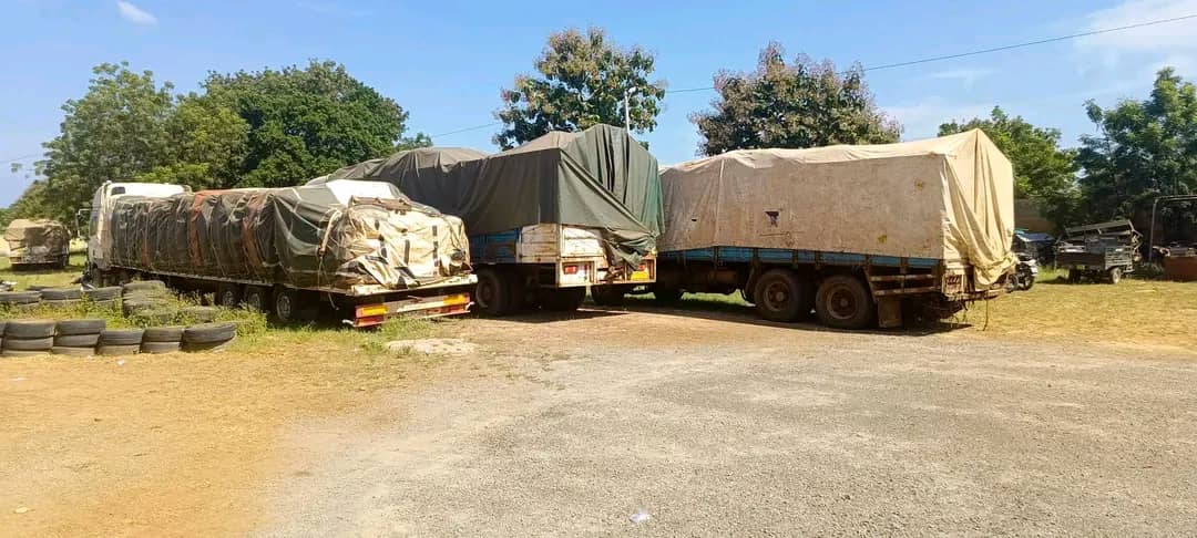 une importante saisie par l'interception de plusieurs tonnes d’amandes de karité