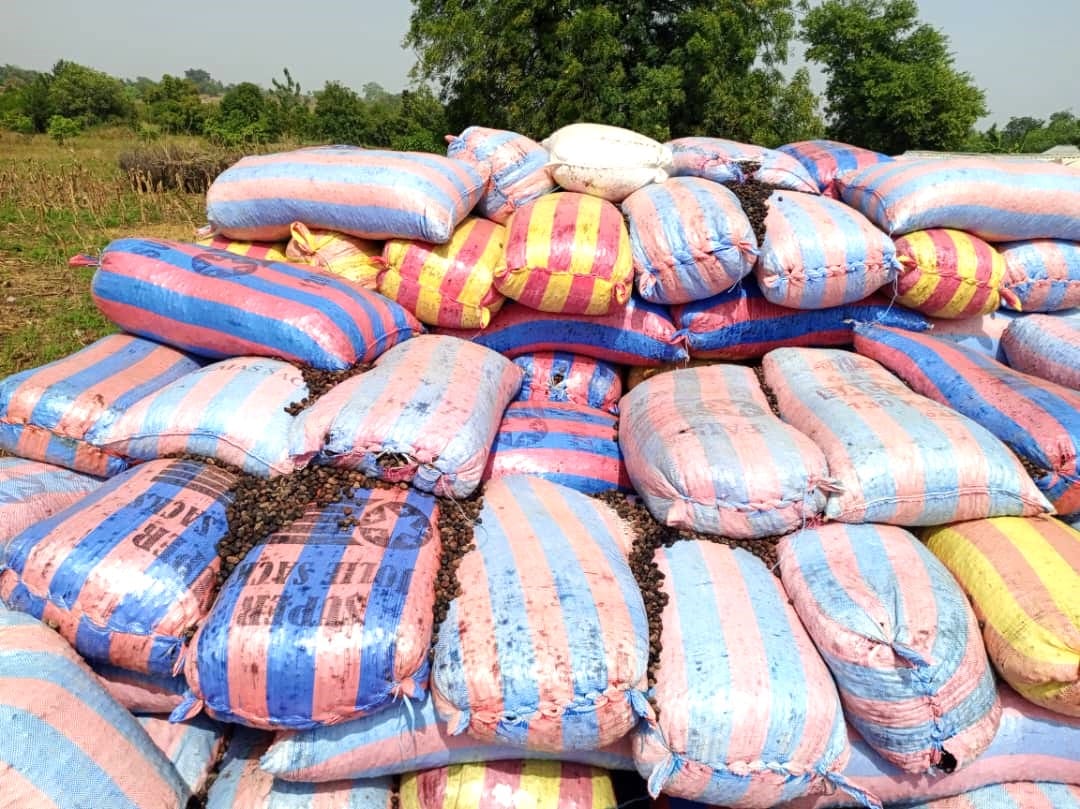 une importante saisie par l'interception de plusieurs tonnes d’amandes de karité