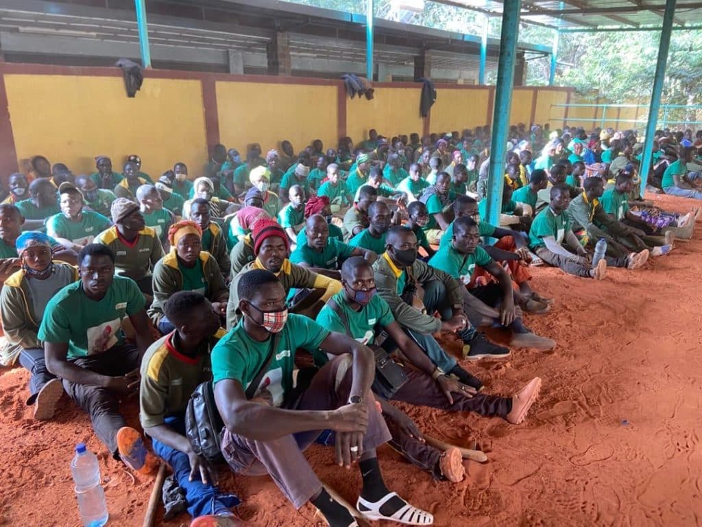 Initiative présidentielle pour la production agricole et l’autosuffisance alimentaire (IP-P3A)