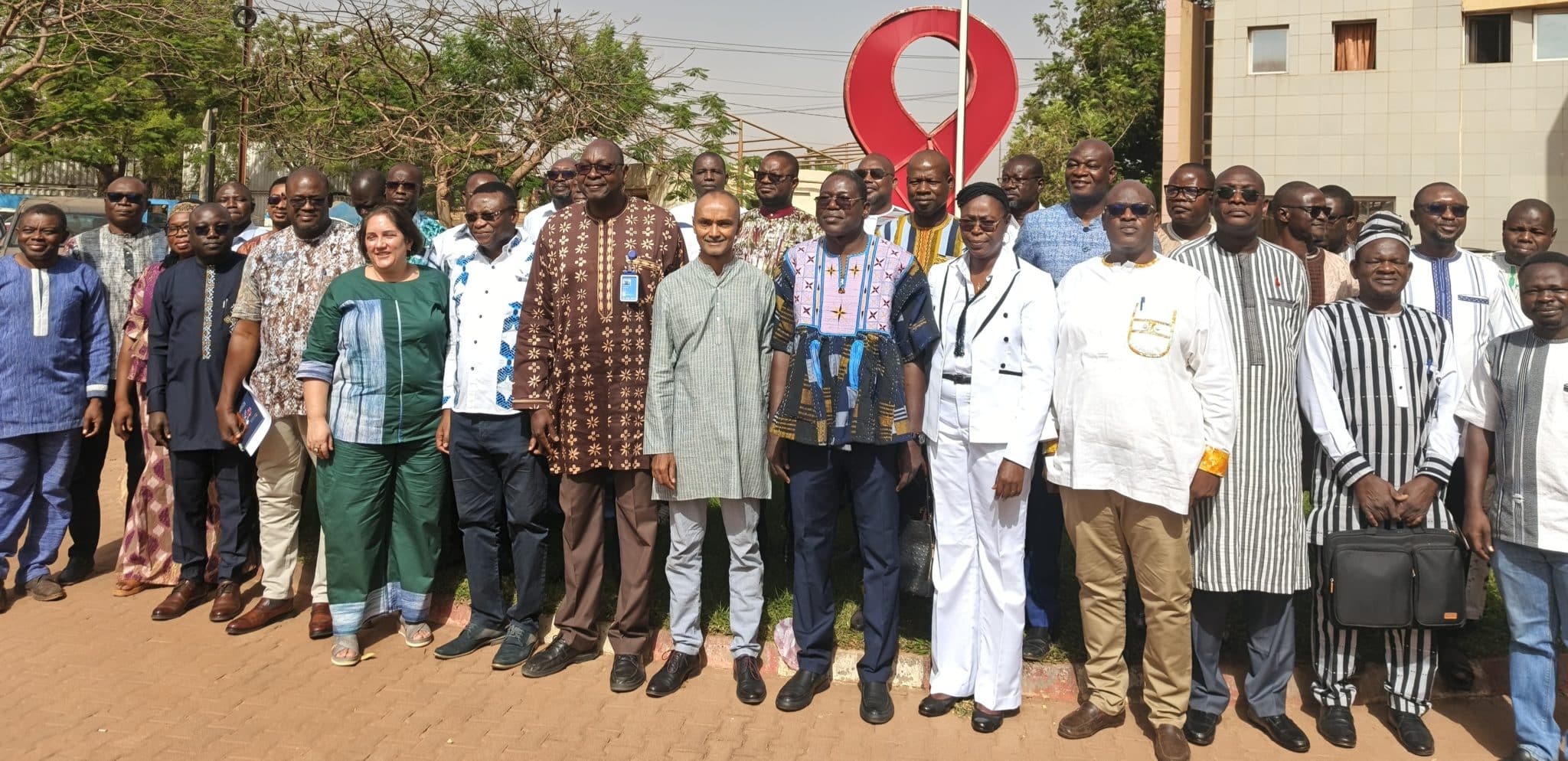 Conseil national de lutte contre le SIDA et les infections sexuellement transmissibles (CNLS-IST)