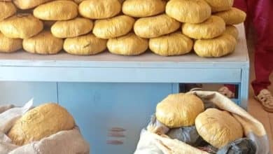 Lutte contre le trafic de stupéfiants : La Police Nationale saisit près de 70 kg de drogue à Bobo-Dioulasso