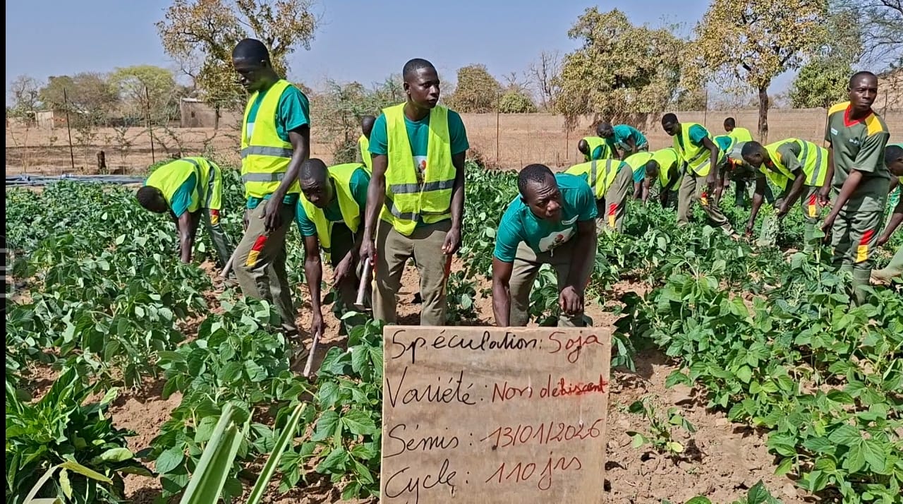 Les volontaires découvrent les variétés de soja à haut rendement au centre Rialé
