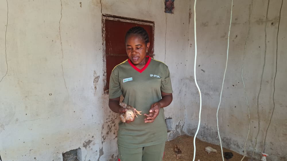 Les VDP agricoles ont apprit les gestes de précision pour le suivi sanitaire et la nutrition de la volaille de race locale améliorée