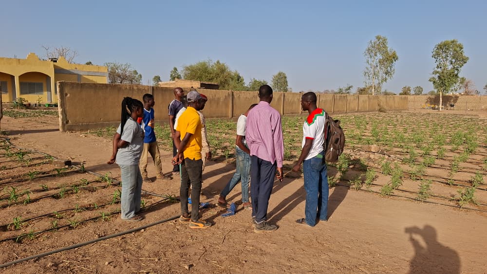 les volontaires constatent les résultats de leur formation.