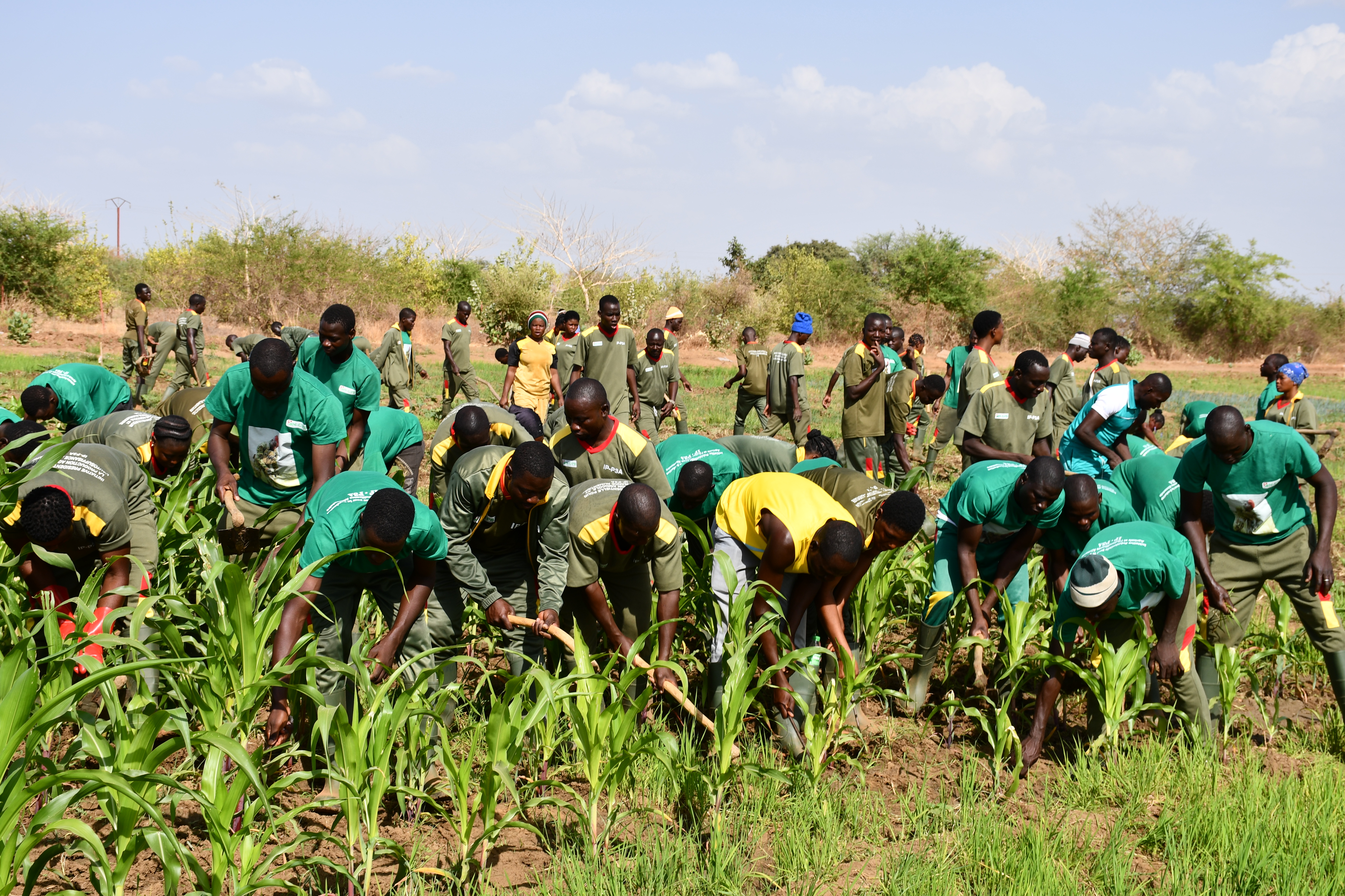 es VDP agricoles en pleine action pour la campagne de production.