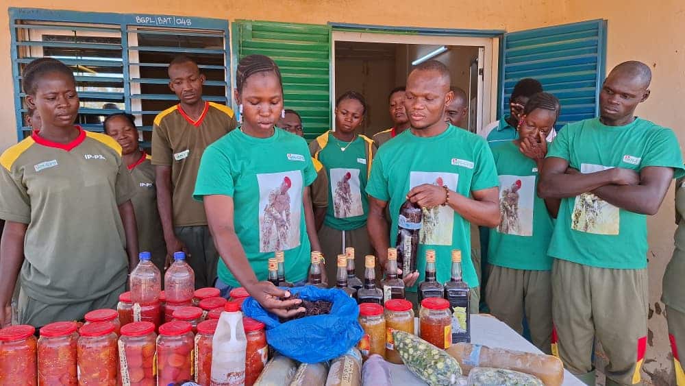 les VDP transforment désormais leur propre production