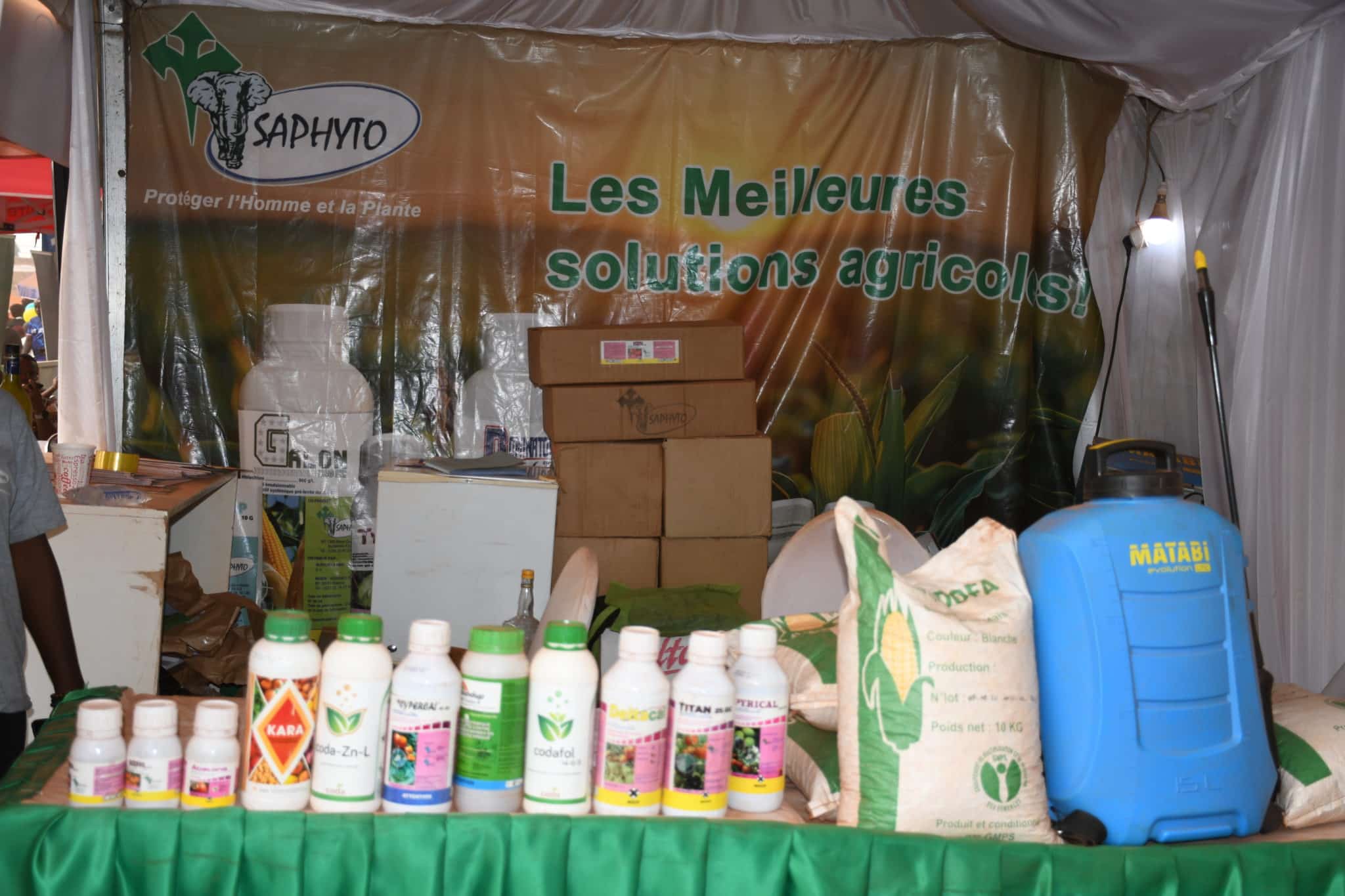 des semences de maïs hybrides « Bondofa », une solution locale mise en avant pour la campagne agricole