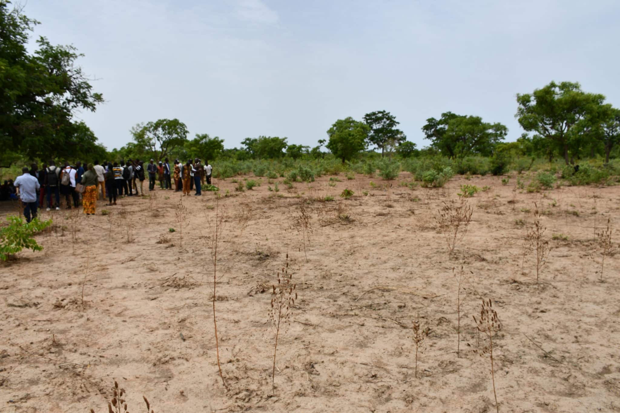  Le site agricole de 15 hectares cédé gracieusement par la chefferie coutumière de Tolotalama pour les personnes déplacées. ©Burkina 24, Mai 2026