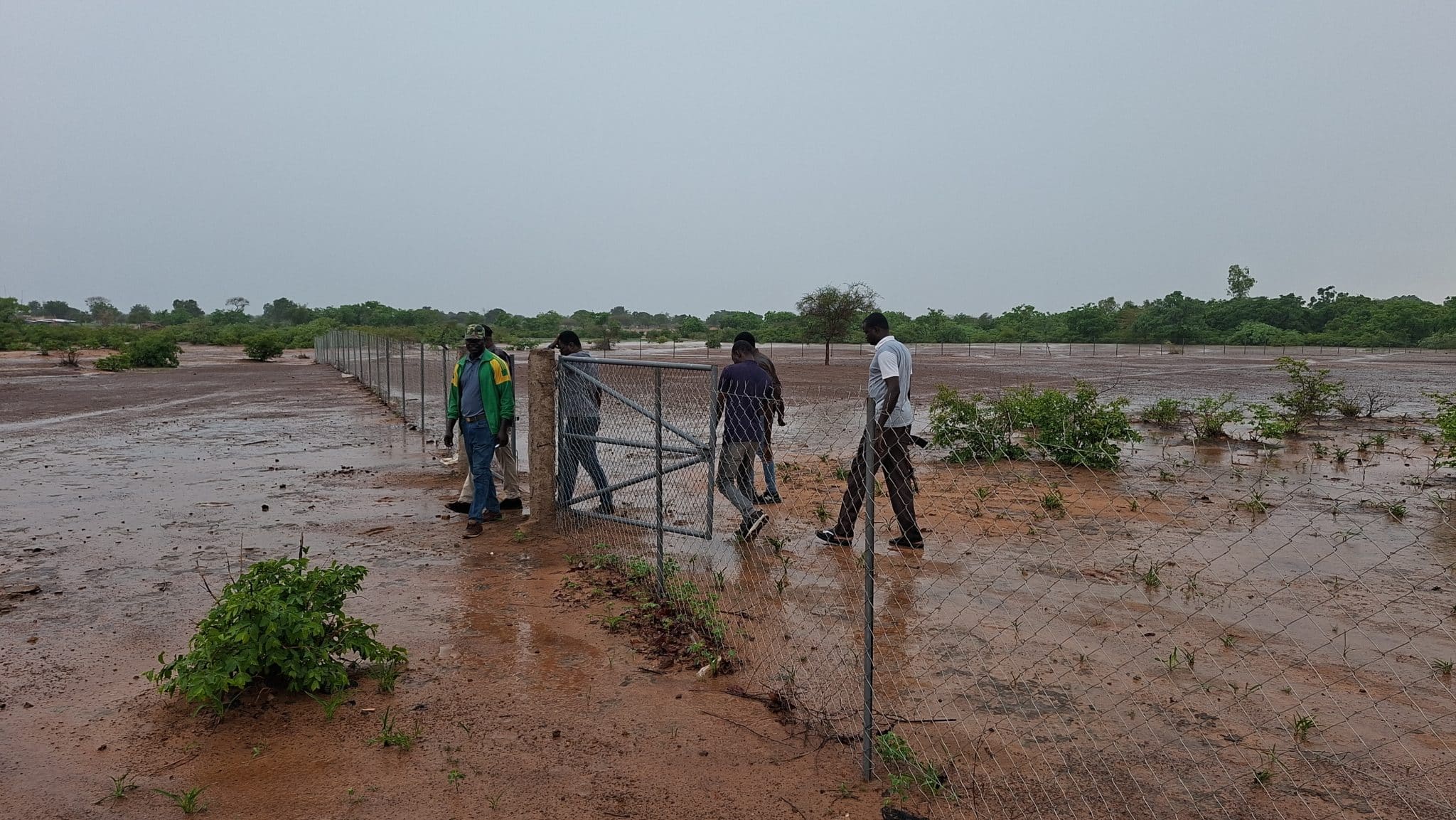 La mission visite un bosquet de 3 hectares restauré à Salogo, dans la région du Nakambé. @Burkina 24