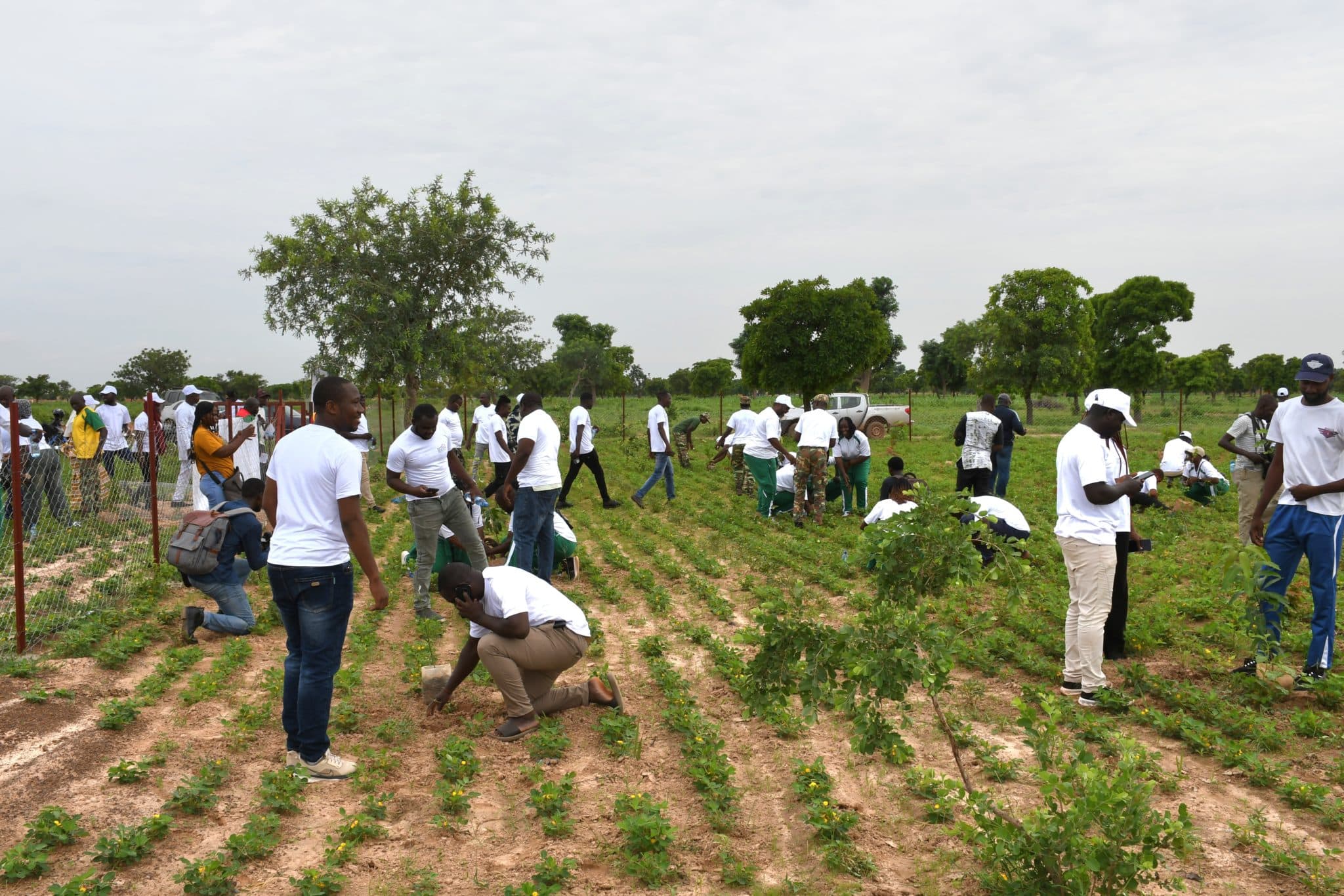 135 plants mis en terre sur le site de Zagbega à l'occasion des 10 ans de SOSID IMMO. © Burkina 24