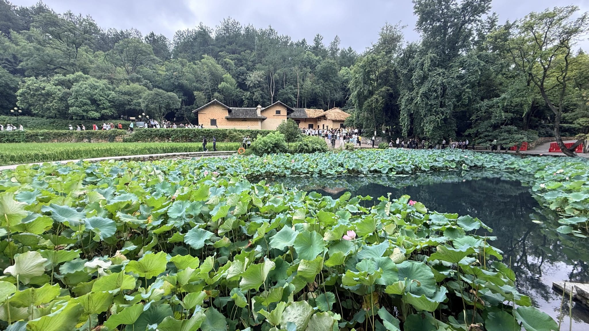 Là où Mao Zedong a grandi 