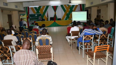 Participants lors de la session de formation pratique.