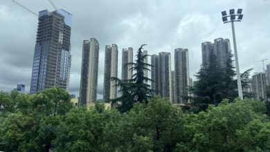 Les arbres occupent une place importante en Chine