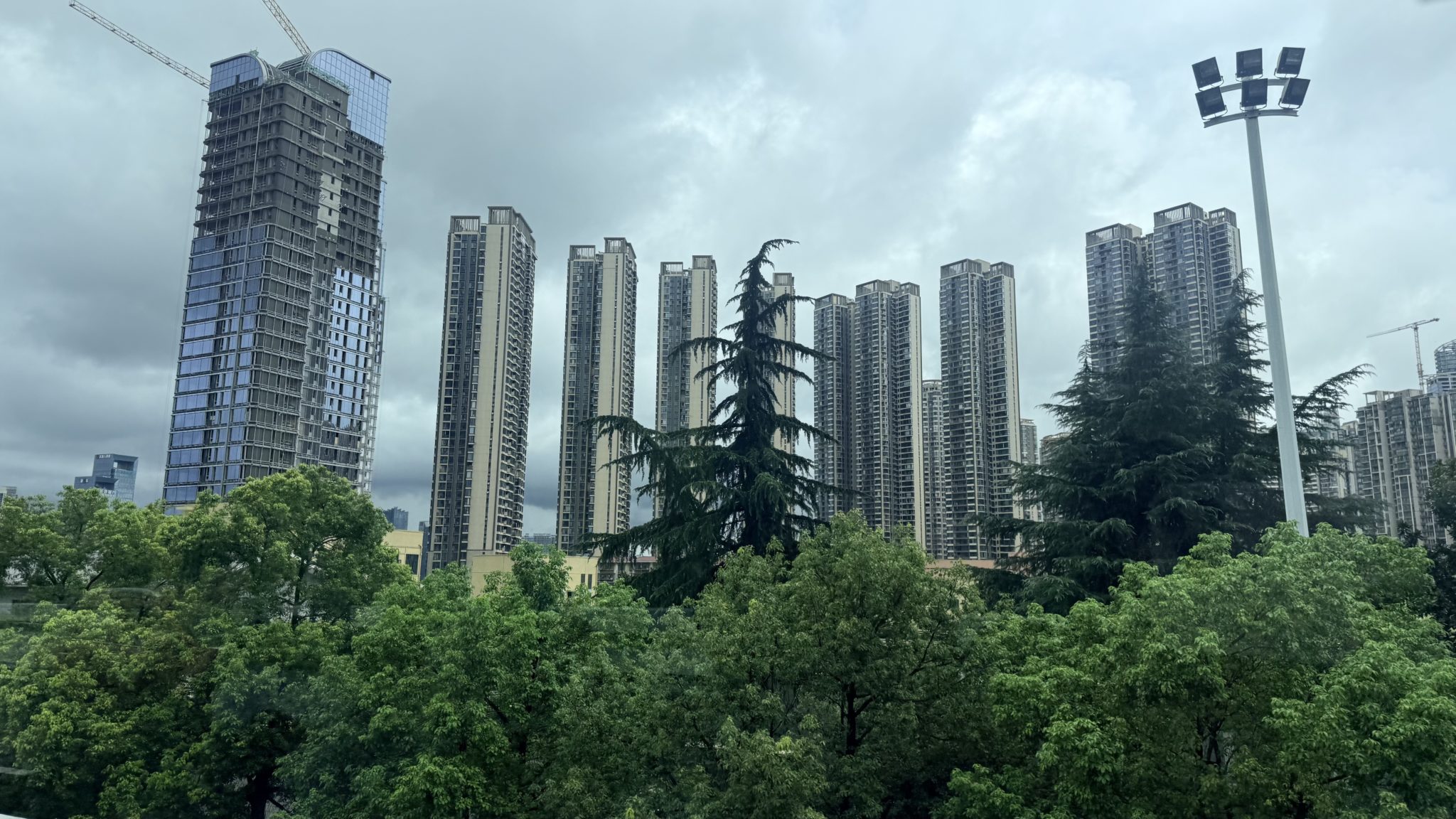 Les arbres occupent une place importante en Chine