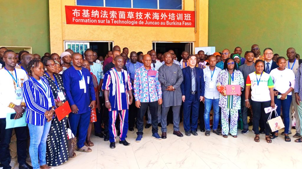 Technologie du Juncao : La coopération sino-burkinabè veut faire germer de nouvelles opportunités agricoles